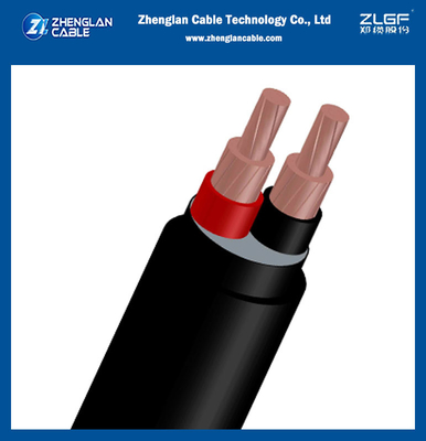 0.6/1KV laagspanningskoper Xlpe geïsoleerde PVC-kabels 2Core voor IEC 60228, IEC 60502-1 (CU/XLPE/PVC)